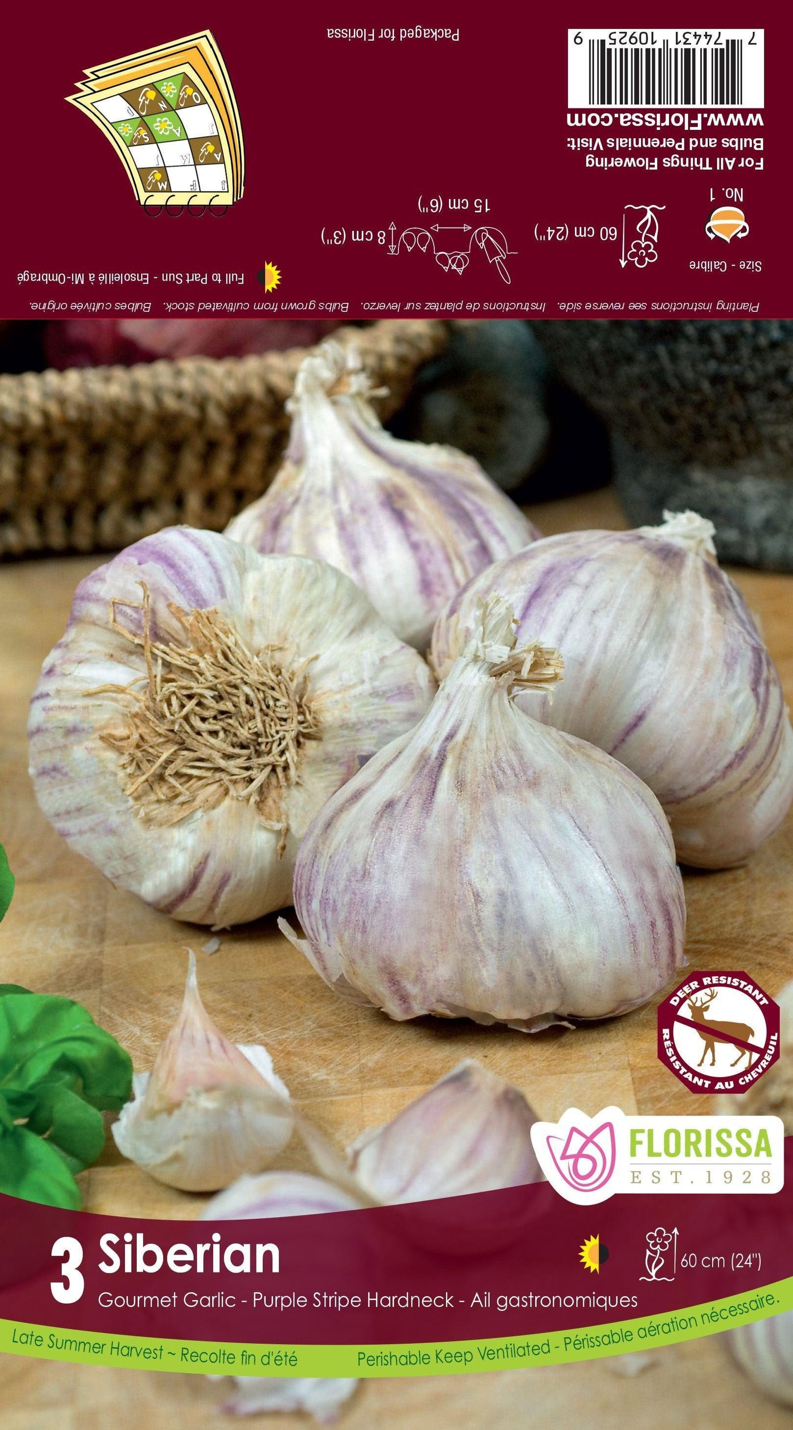 Garlic-Siberian Packaged