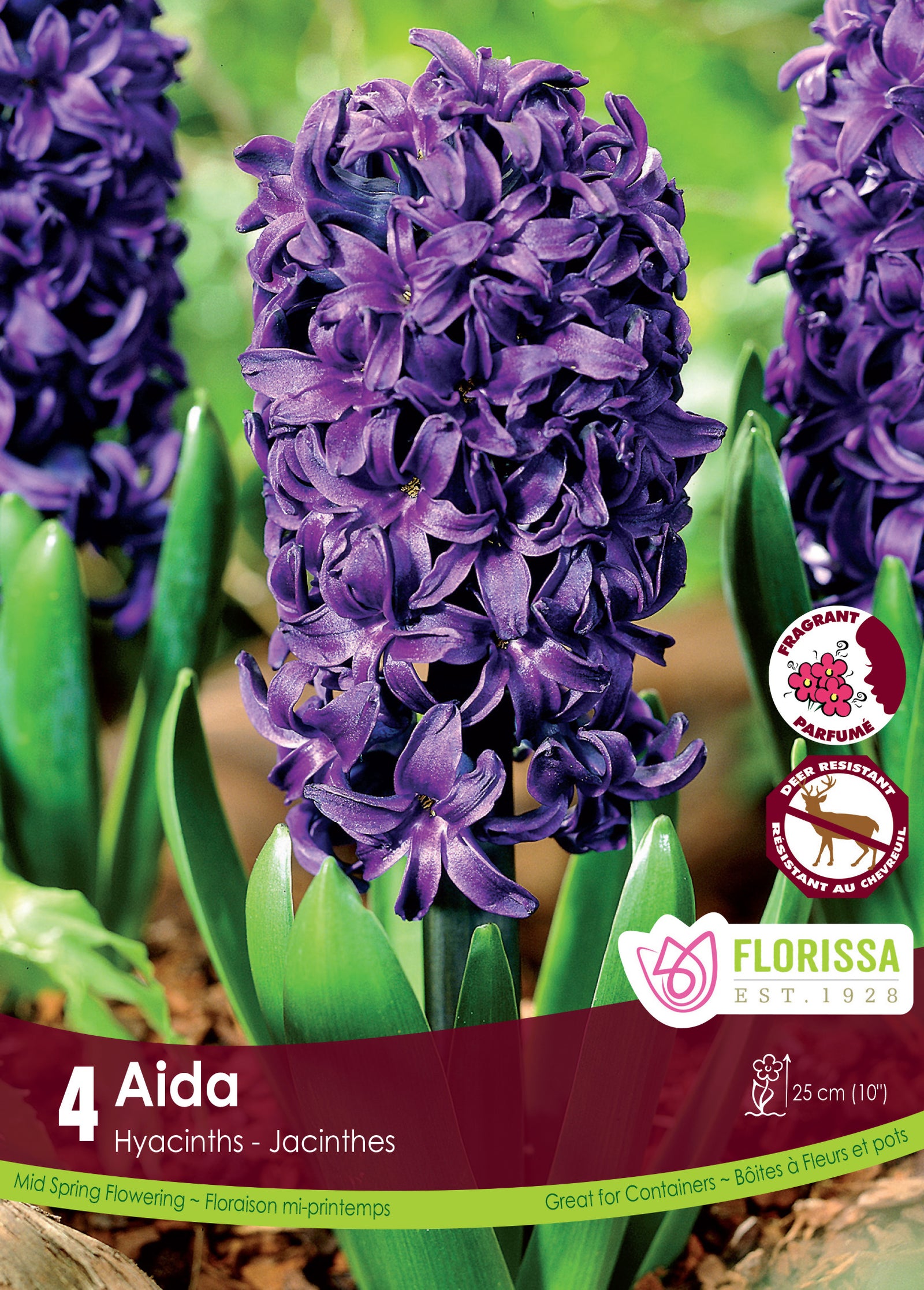 Hyacinth-Aida Blue