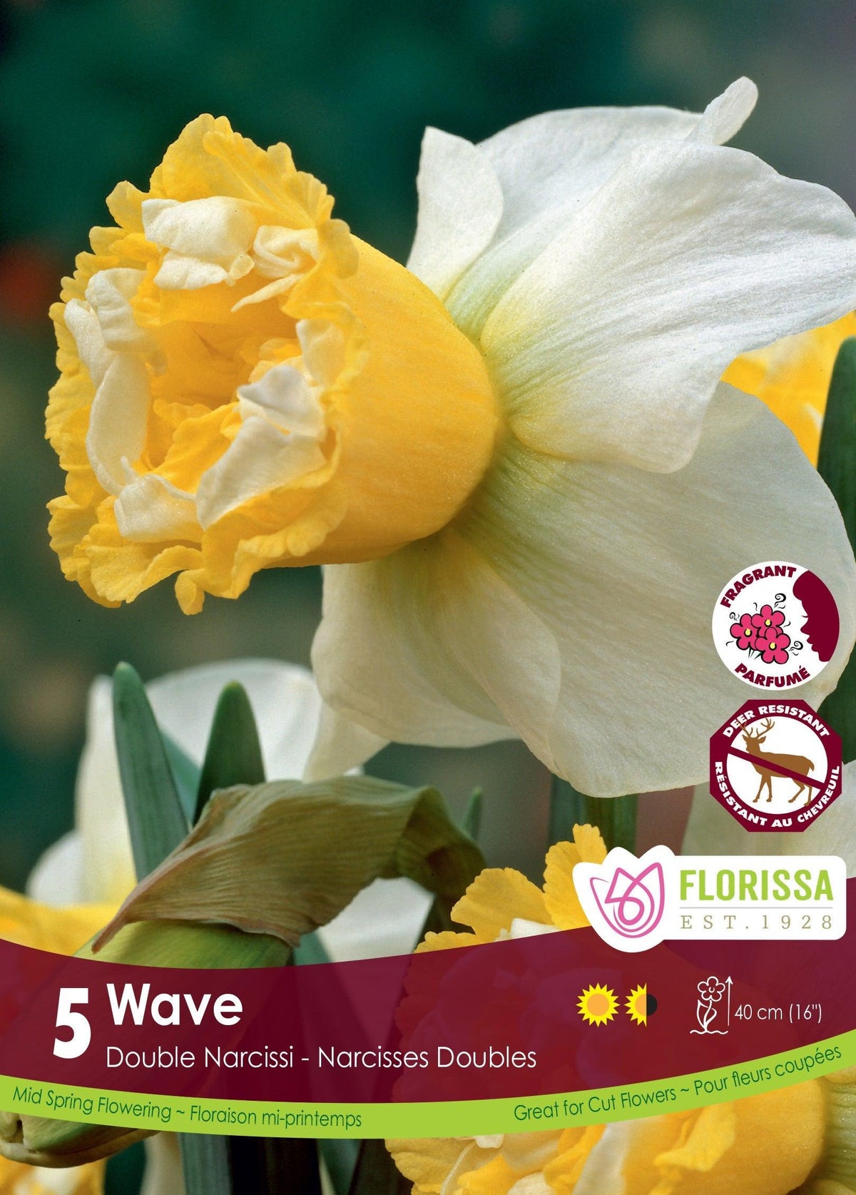 Double Narcissi Wave 5/Pkg