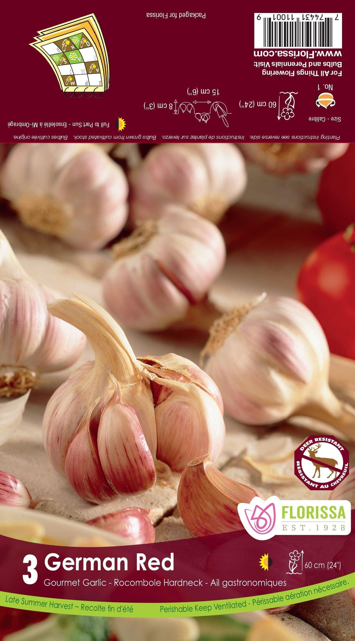 German Red Garlic