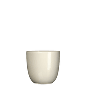 Tusca Pot 6.75X6.25" Cream