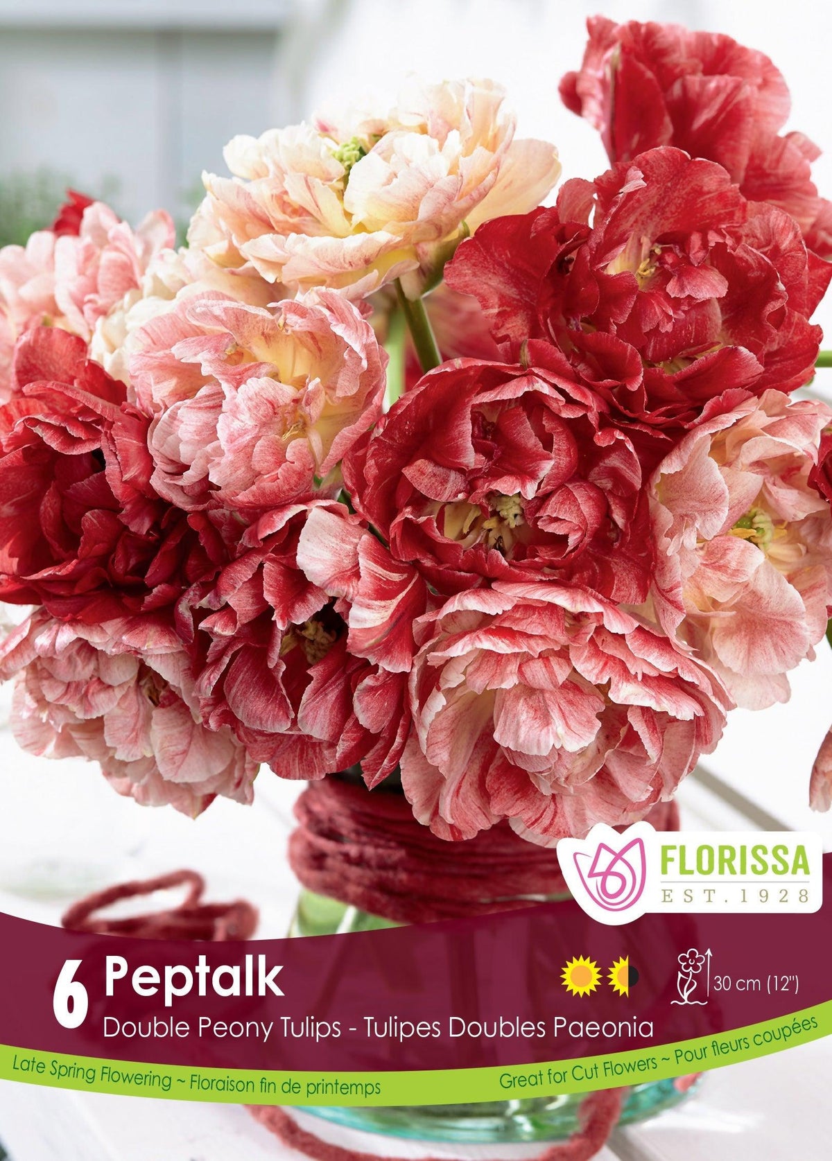 Tulip Pep Talk 6/Pkg