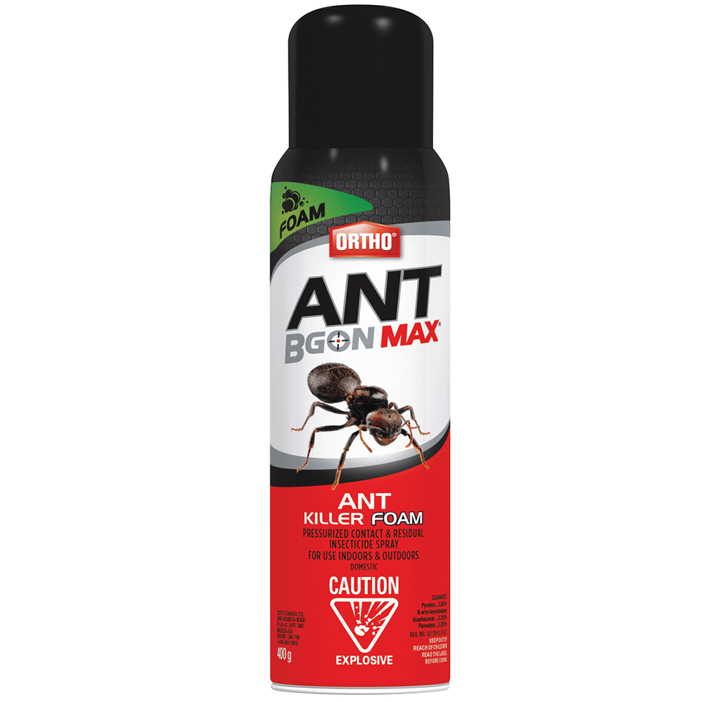 Ortho® Ant B Gon™ Ant Killer Foam 400g
