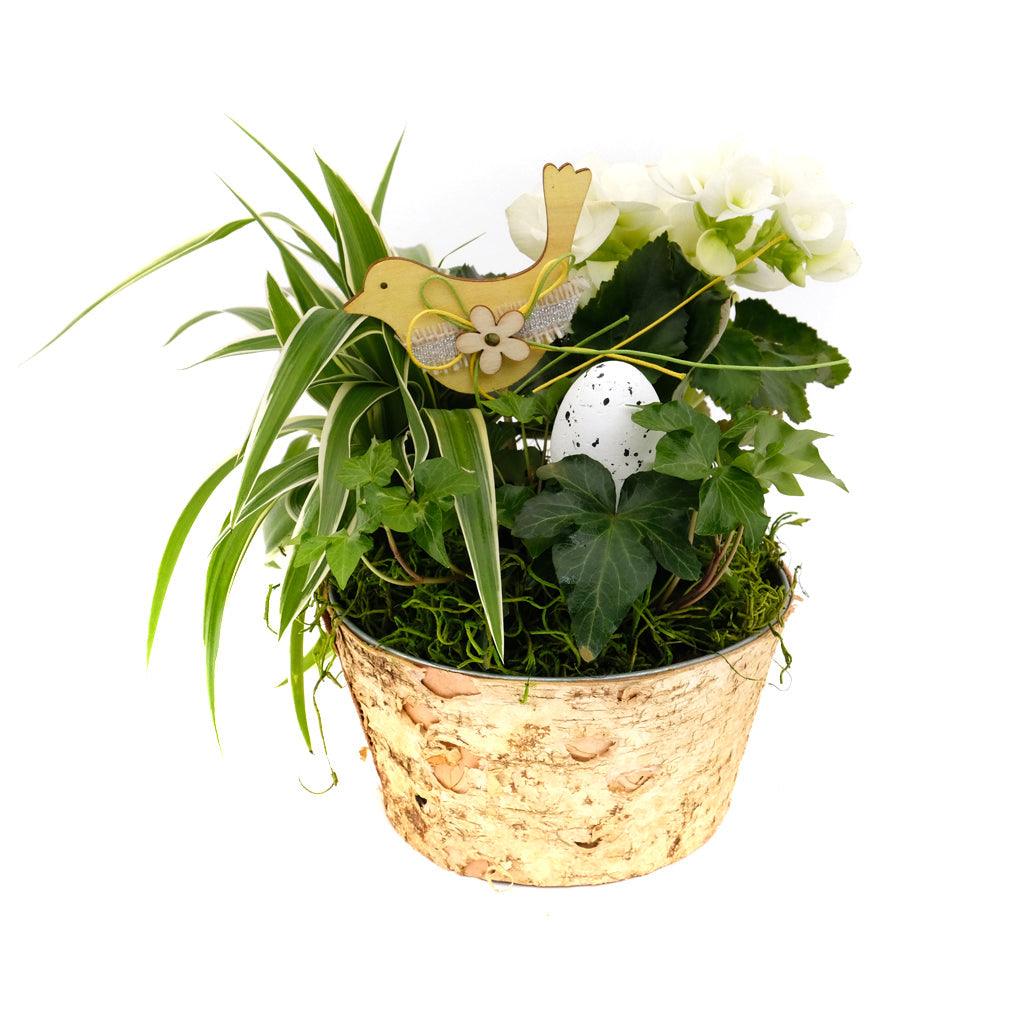Chicky Cheer Easter Planter