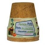 Biodegradable Coconut Coir Pots 4&quot; 6Pk