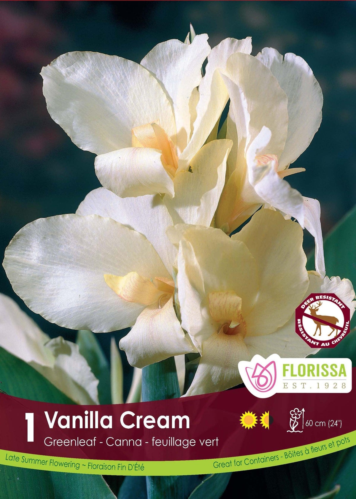 Canna Greenleaf Vanilla Cream 1/PK