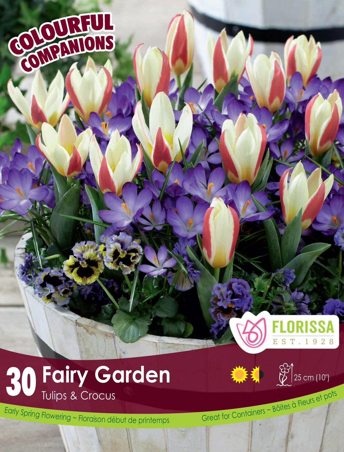 Fairy Garden Tulip The First &amp; Crocus Ruby Giant 30/Pkg