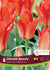 Tulip Oriental Beauty 6/PKG Bulbs