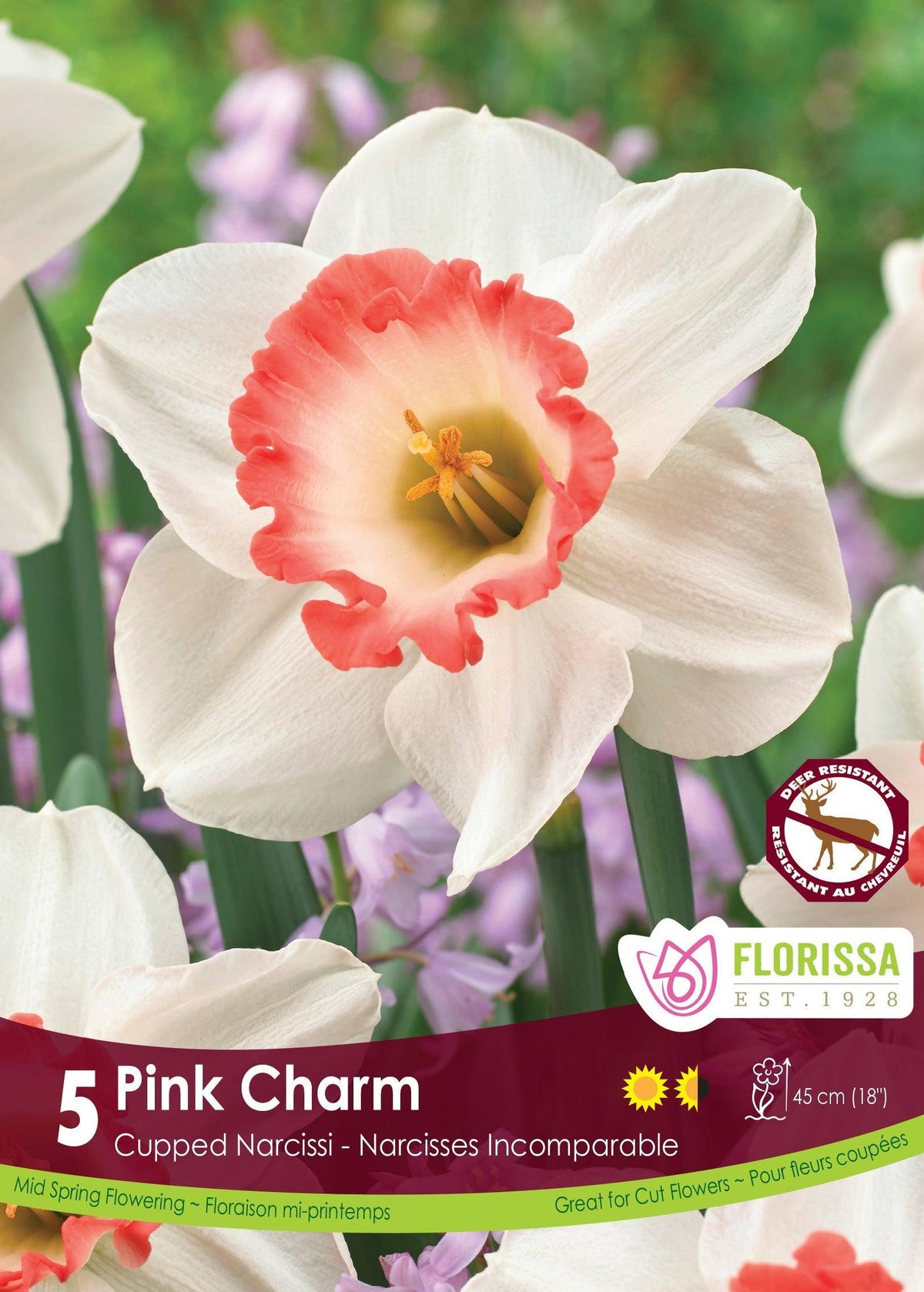 Narcissi Pink Charm 5/Pkg