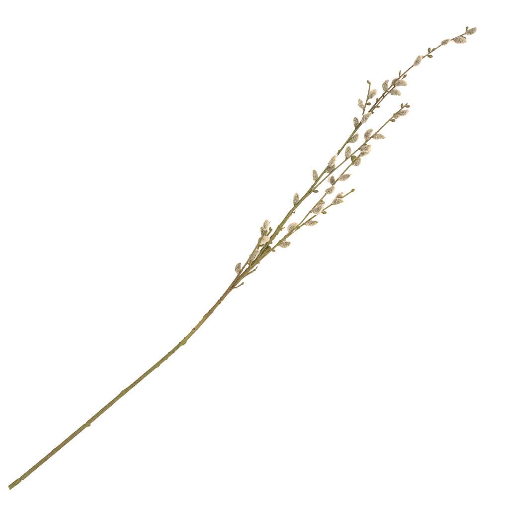 Everlasting Pussy Willow Branch 45"