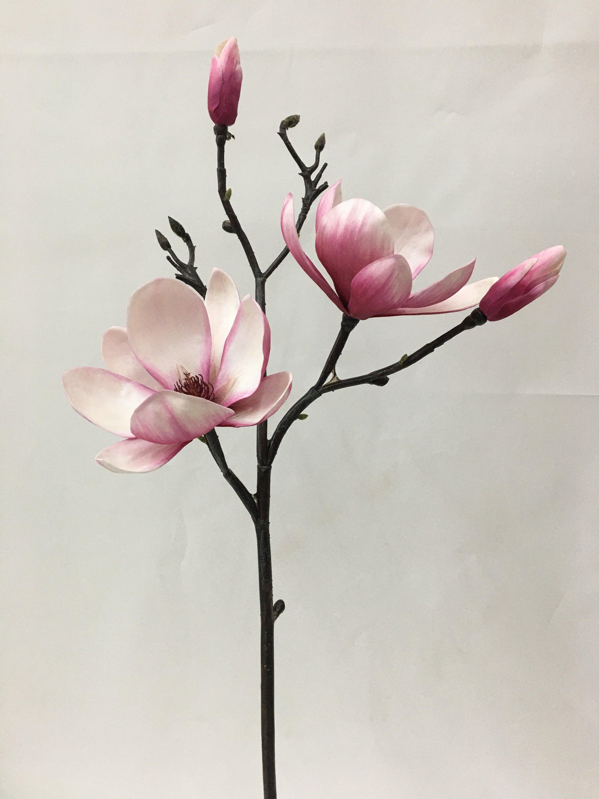 Everlasting Branch Pink Magnolia Pick 26.5&quot;