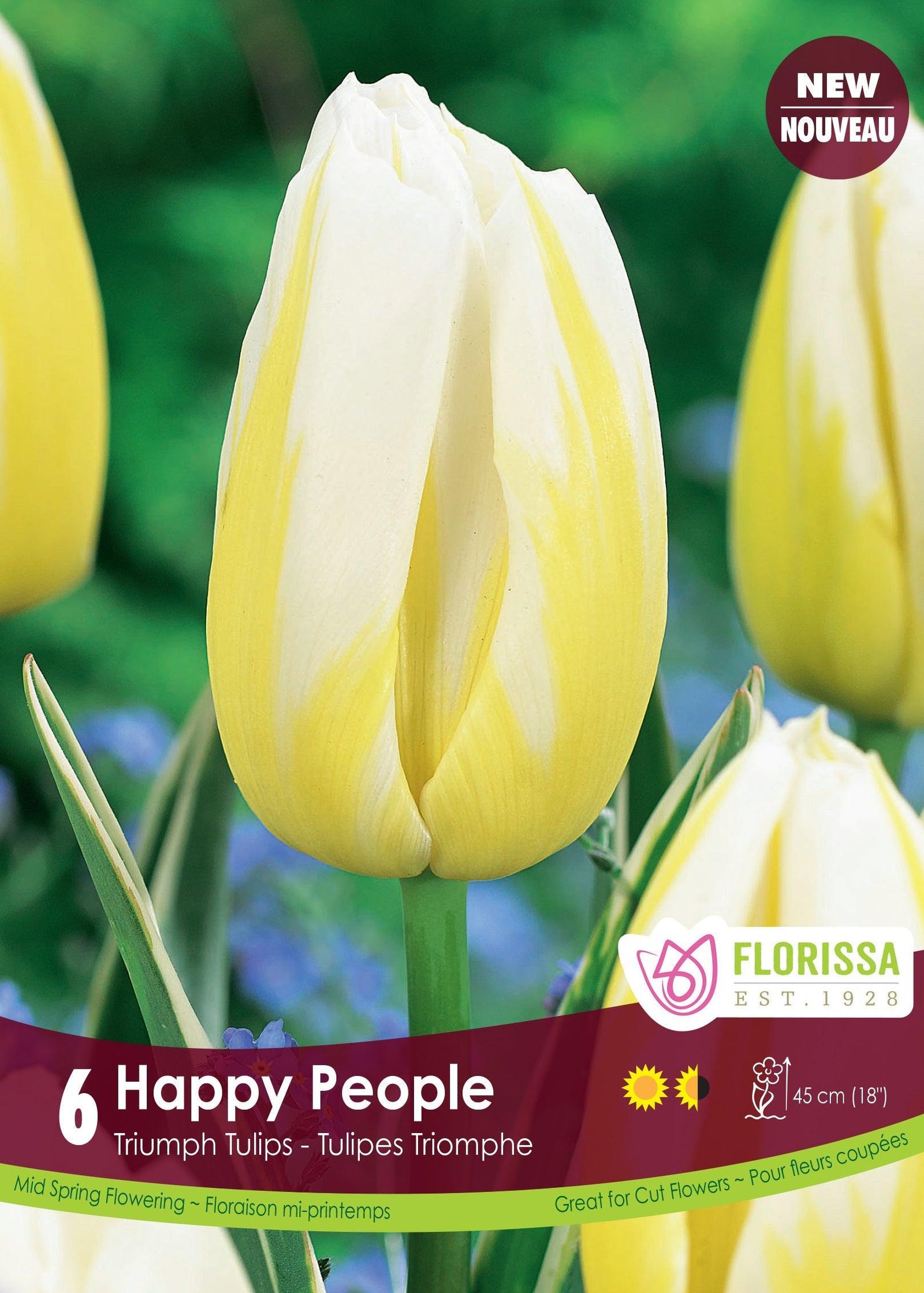 Tulip Happy People 6/Pkg