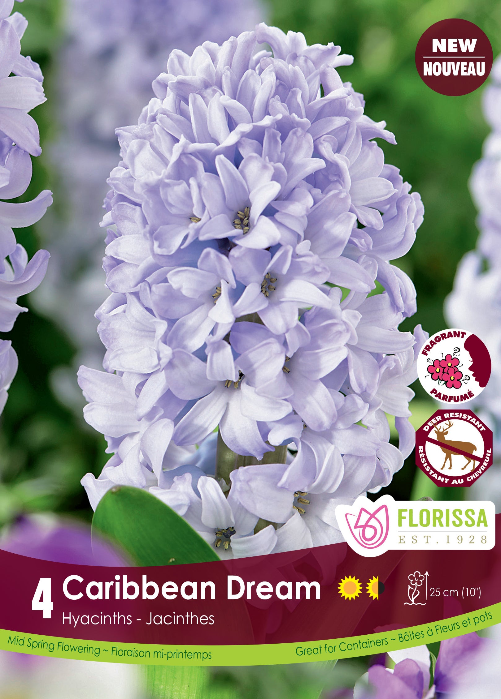 Caribbean Dream 4/PKG Bulbs