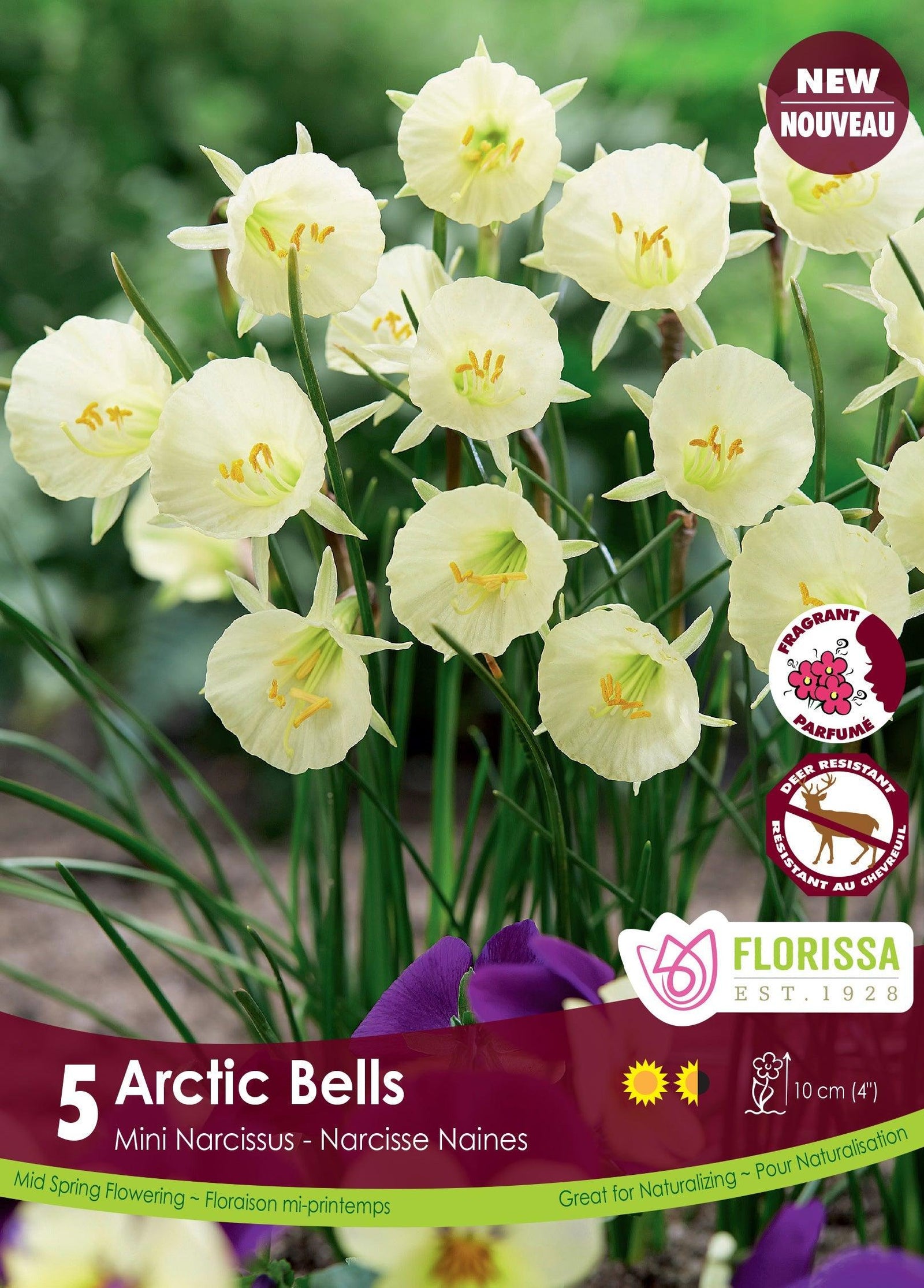 Arctic Bells Mini Narcissus 5/Pkg