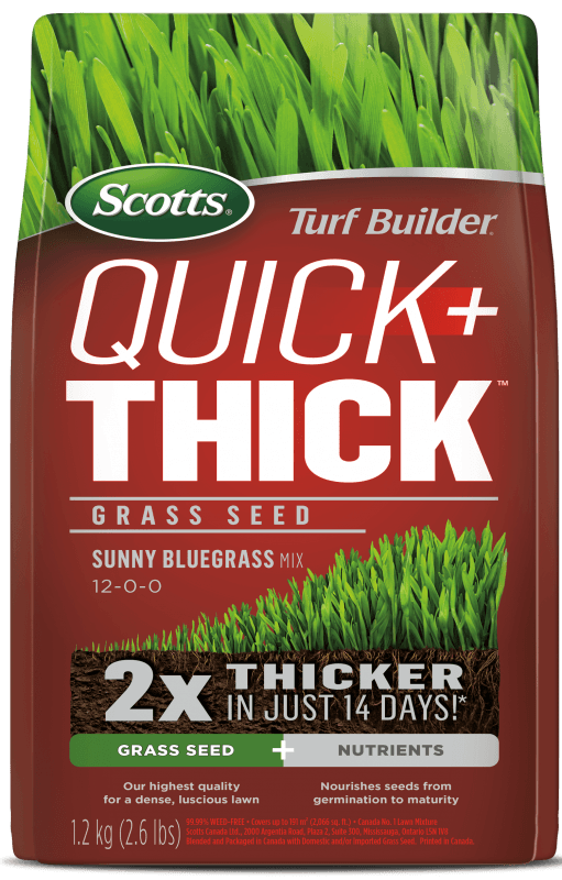 Turf Builder Quick &amp; Thick Grass Seed Sunny Bluegrass 1.2kg