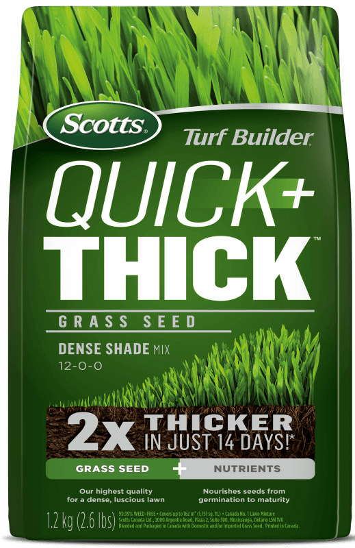 Turf Builder Quick &amp; Thick Grass Seed Dense Shade 1.2kg