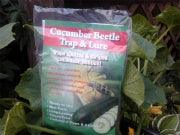 Cucumber Beetle Trap With 2 Lures