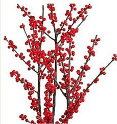 Ilex Red Local Small