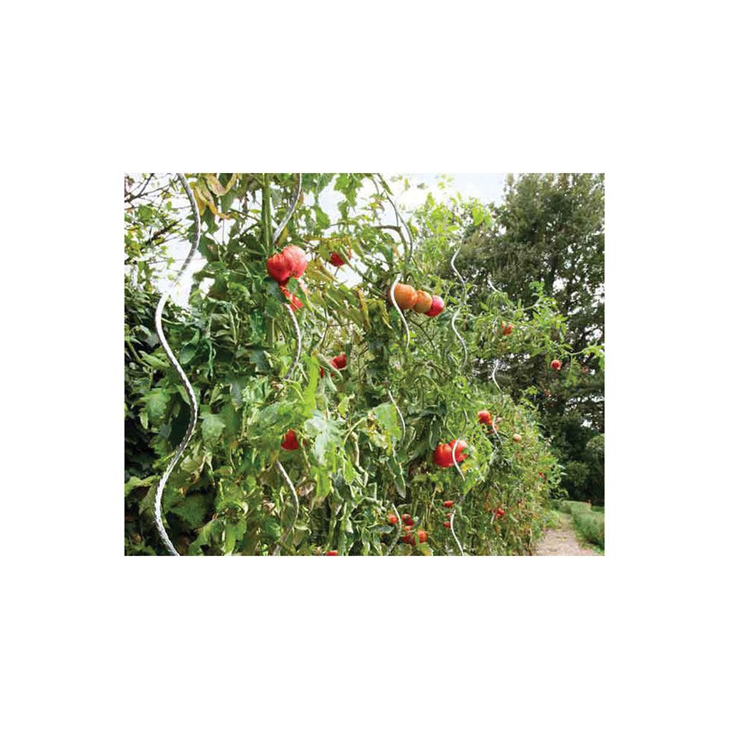 Secure your tomatoes by twisting these 5' spiral supports into the ground for a reliable and easy solution.