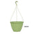 Quattro 12.85" Hanging Basket Green
