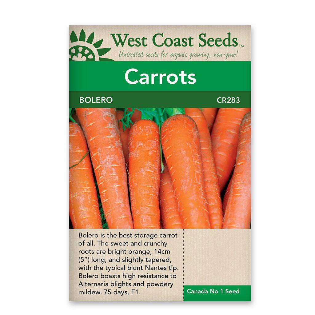 Carrots Bolero Seeds