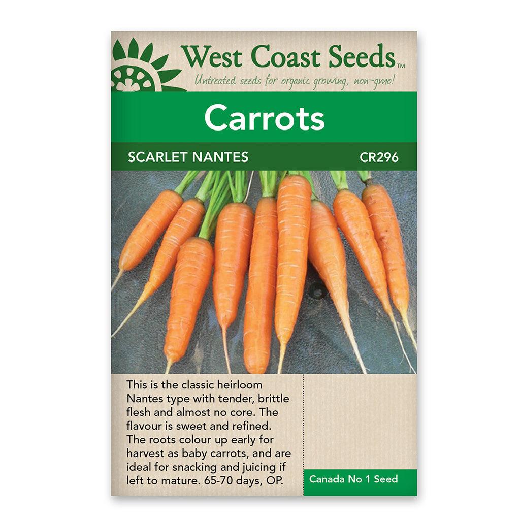 Carrots Scarlet Nantes Seeds