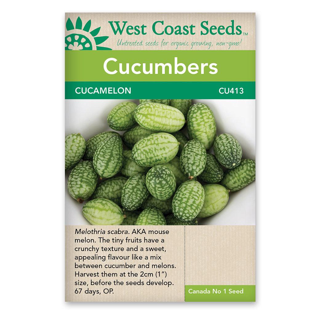 Cucumber Cucamelon Seeds