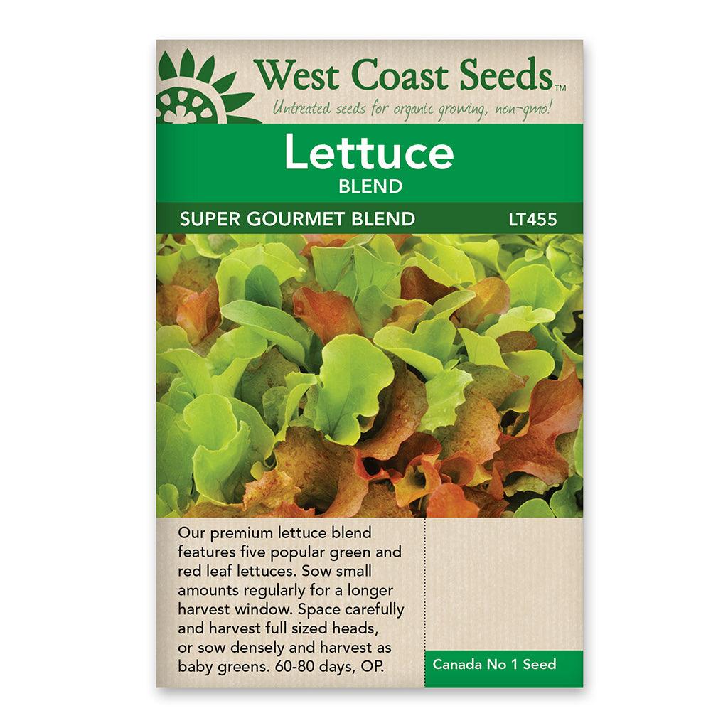 Lettuce Super Gourmet Salad Seeds
