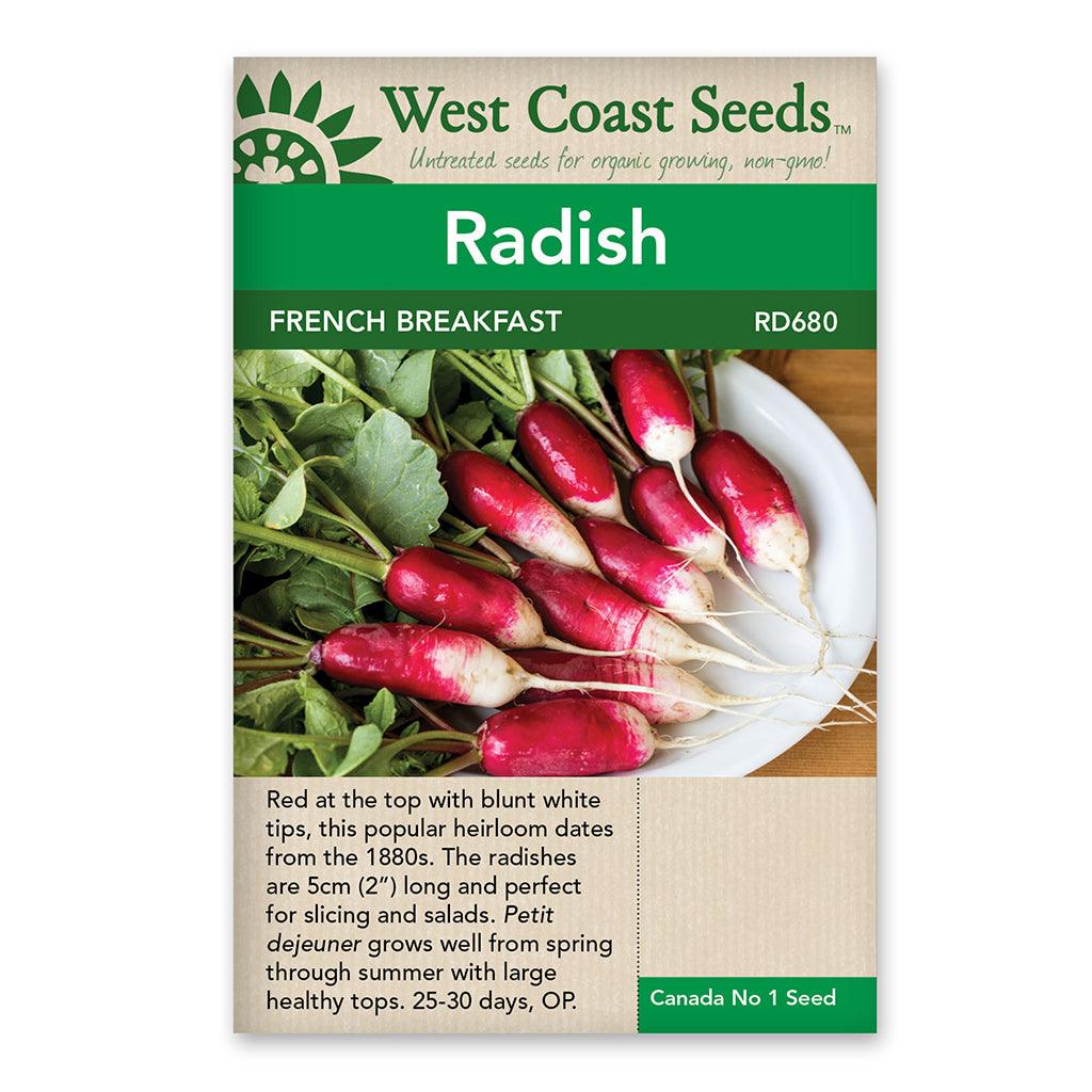 Radishes French Breakfast Seeds