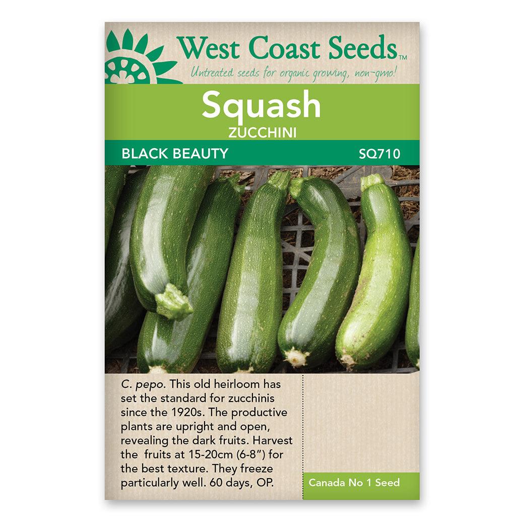 Squash Black Beauty Seeds