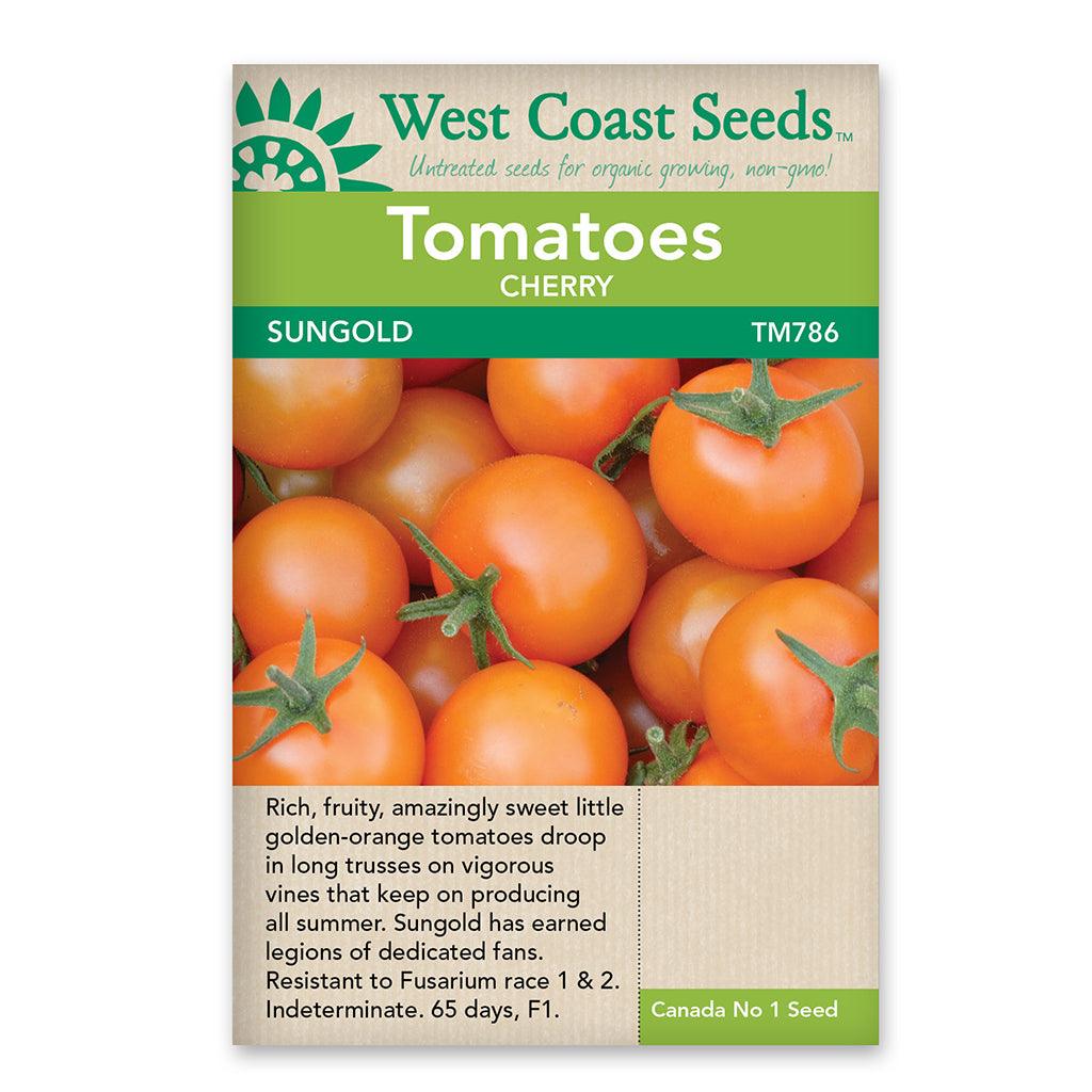 Tomatoes Sungold Cherry  Seeds