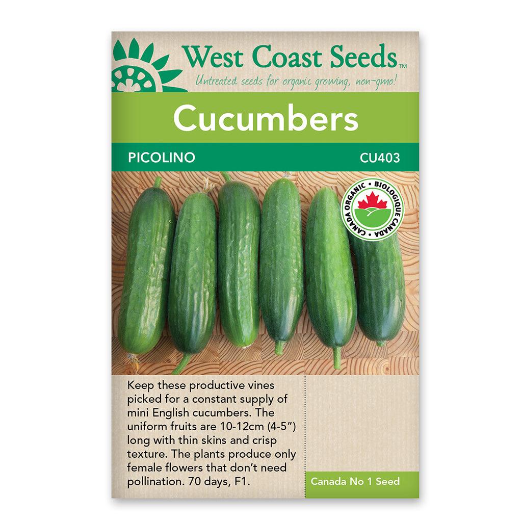 Cucumber Picolino Certified Organic Seeds Sheridan Nurseries Online 