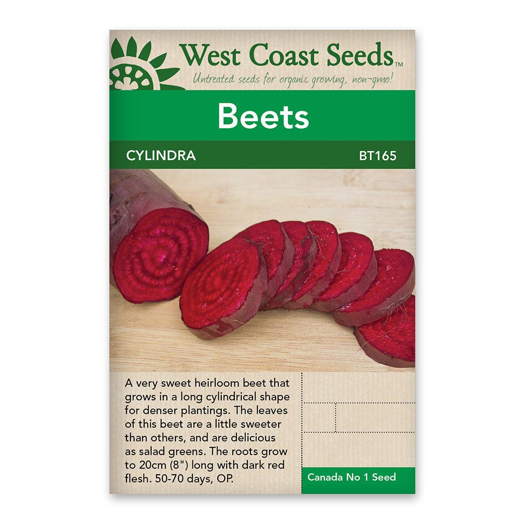Beets Cylindra Seed