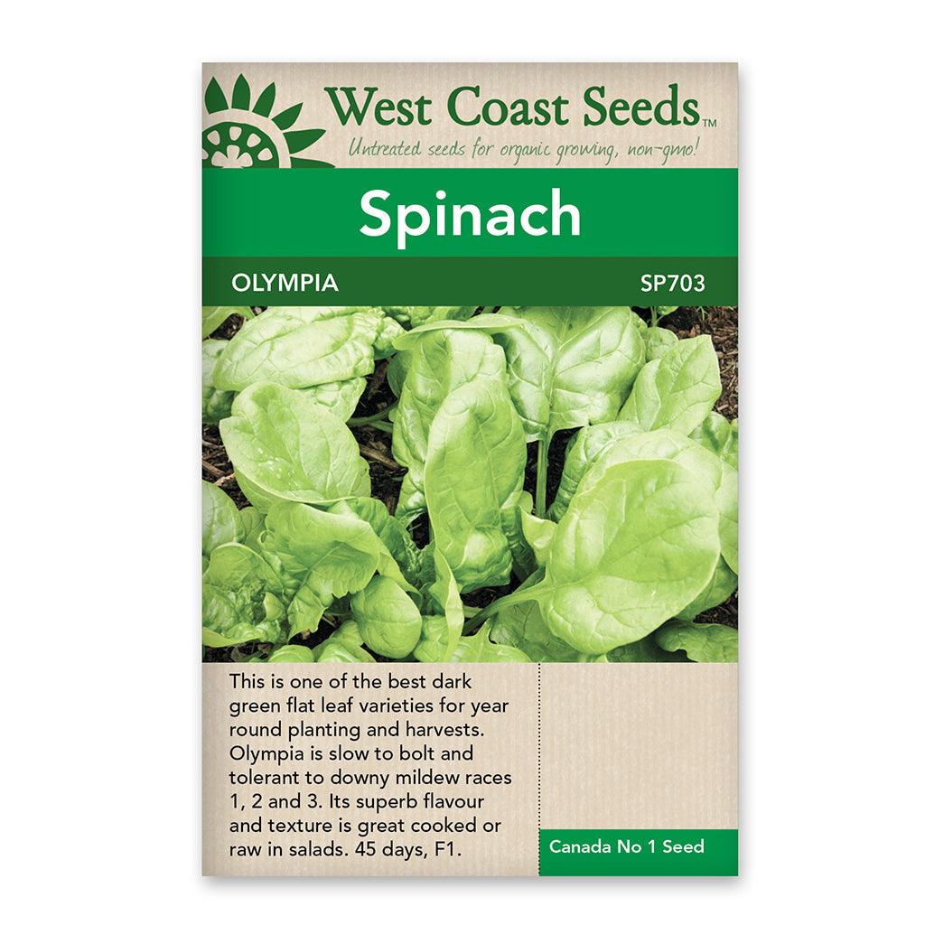 Spinach Olympia Seeds