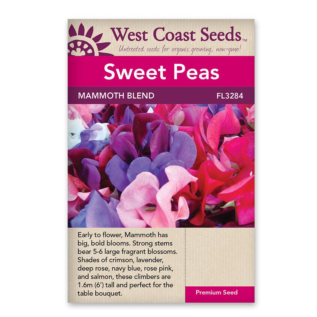 Sweet Peas Mammoth Blend Seeds
