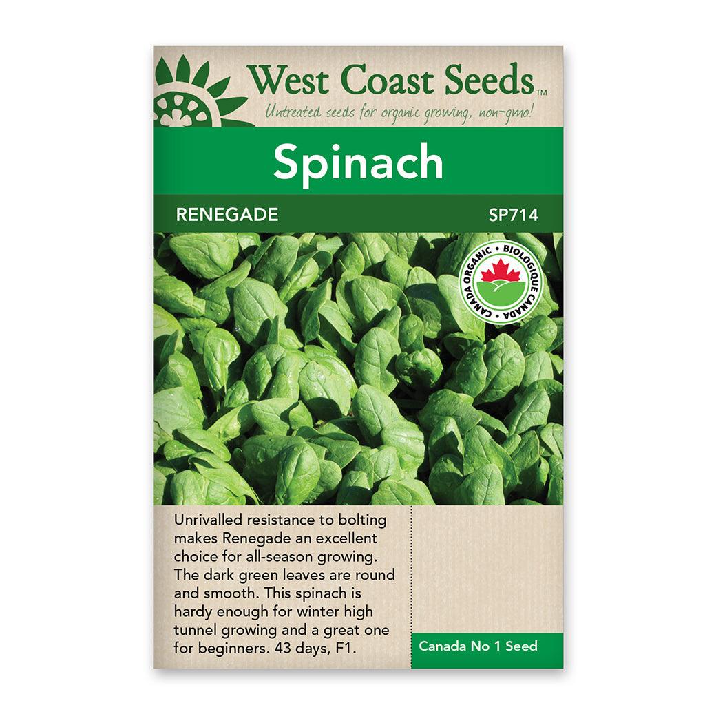 Spinach Renegade F1 Coated Certified Organic Seeds