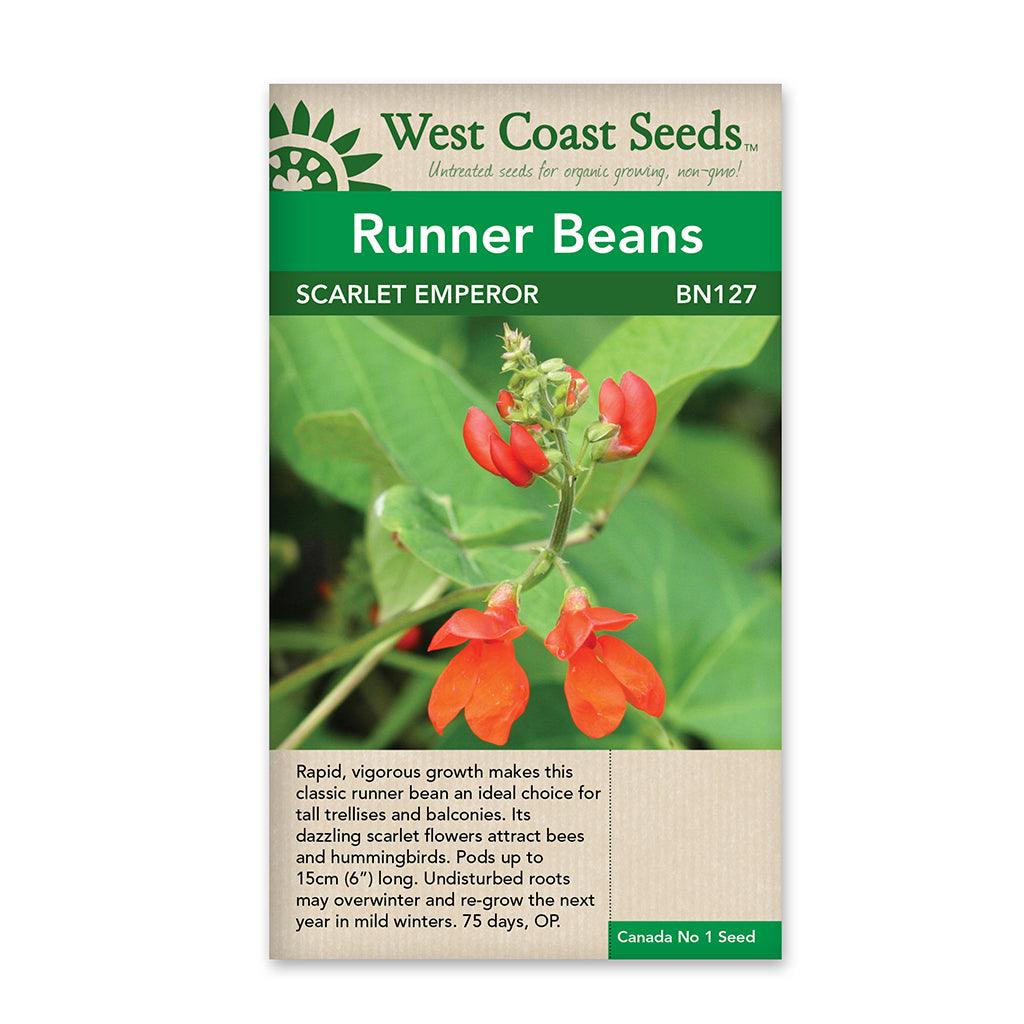 Beans Scarlet Emperor Seeds