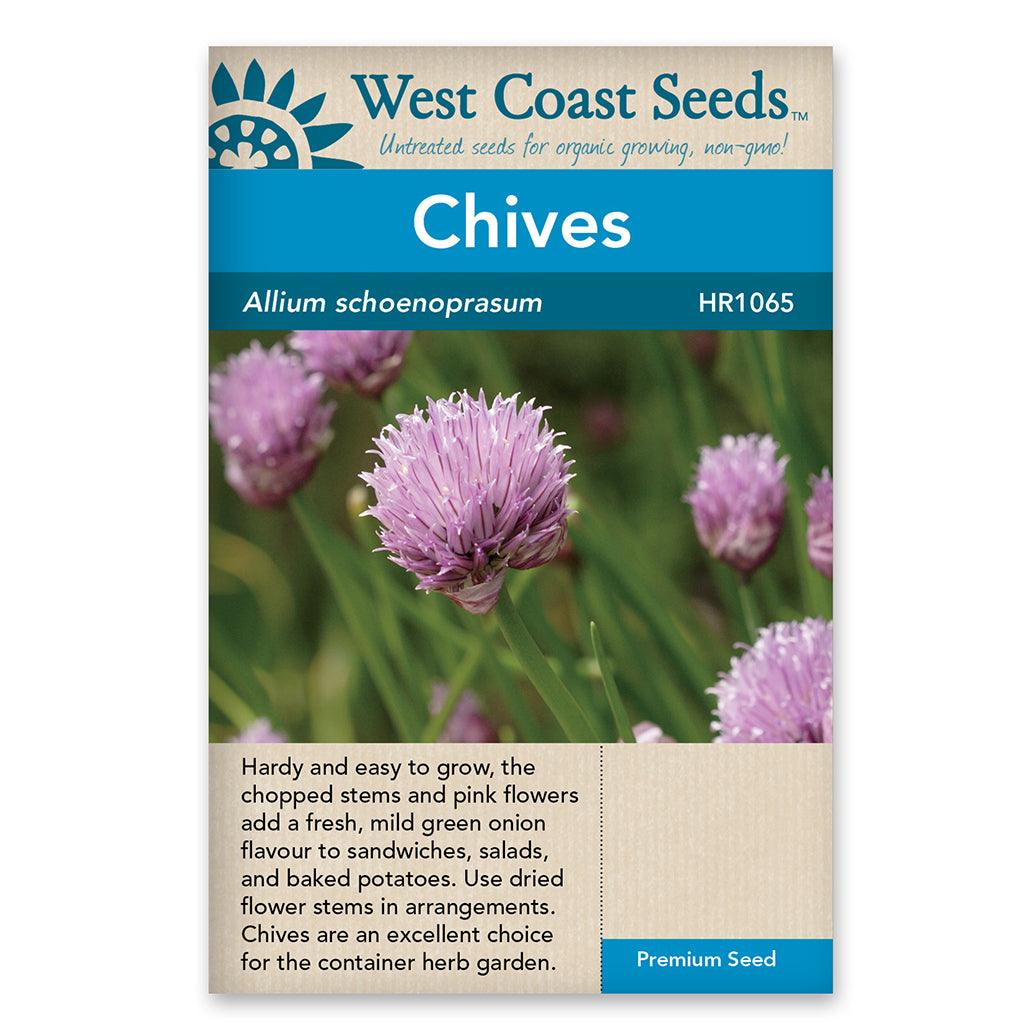 Thriving in full sun during the cool season, these chives are easy to grow, making them a convenient choice for container gardening. As a bonus, they attract pollinators, contributing to a thriving and vibrant garden ecosystem. You can start growing Organic Chives from late winter through mid-spring and then transplant them to your desired location for a bountiful and aromatic harvest. 