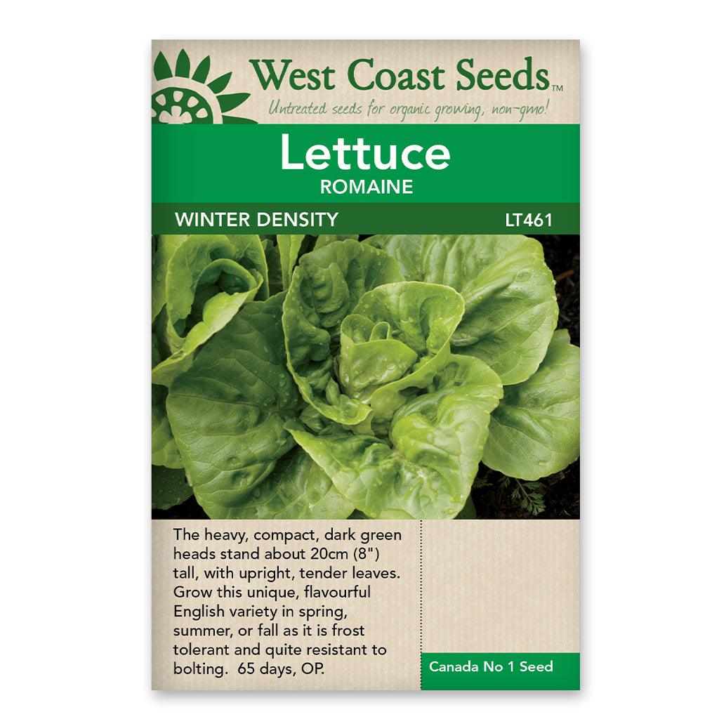 Lettuce Winter Density Seeds
