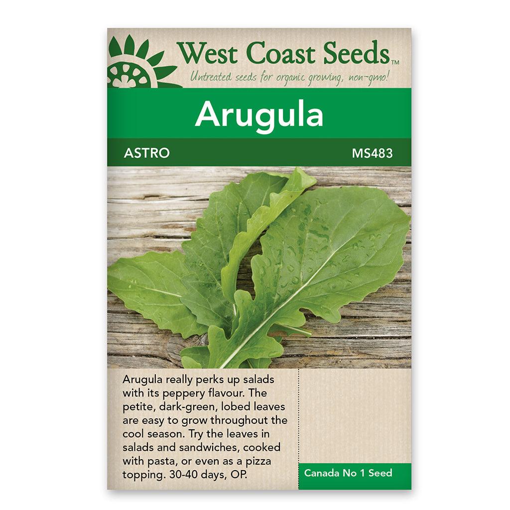 Arugula Astro Roquette Seeds