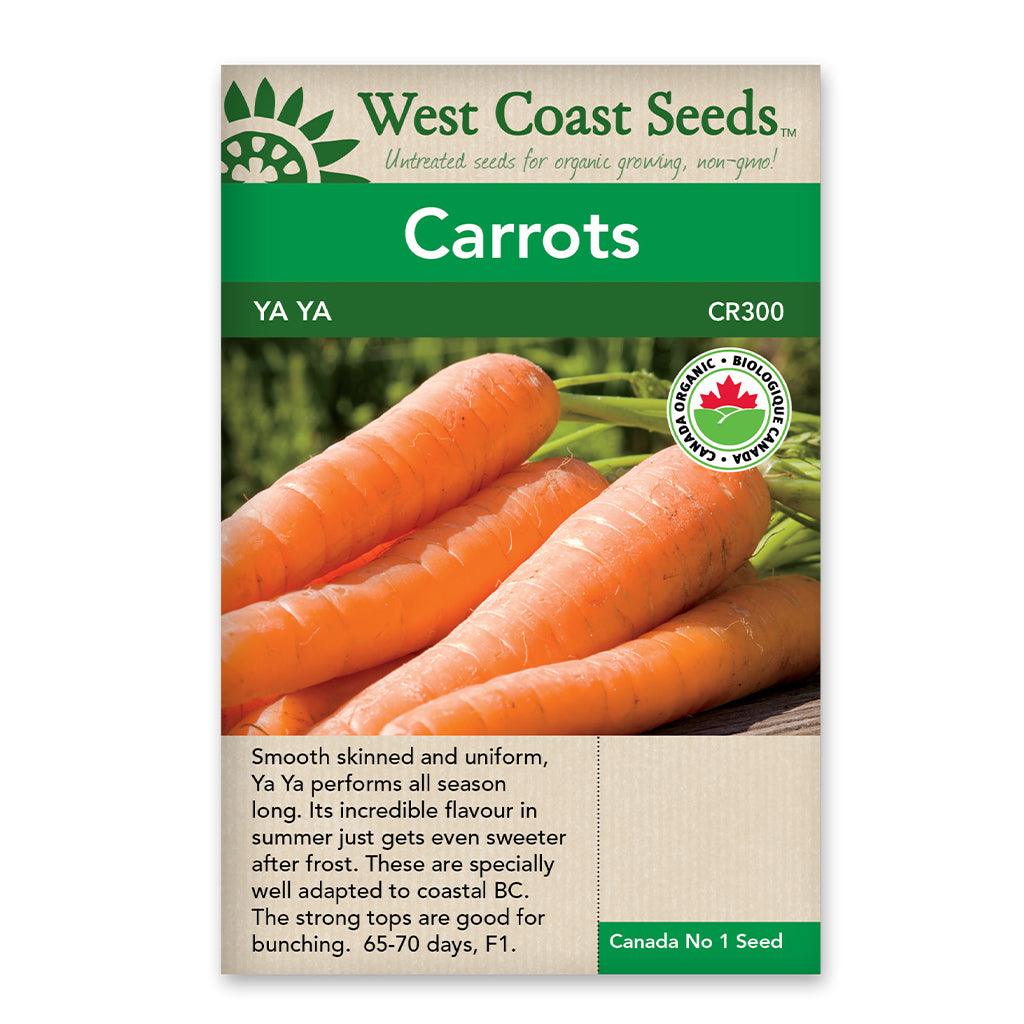 Carrots Ya Ya F1 Coated Certified Organic Seeds
