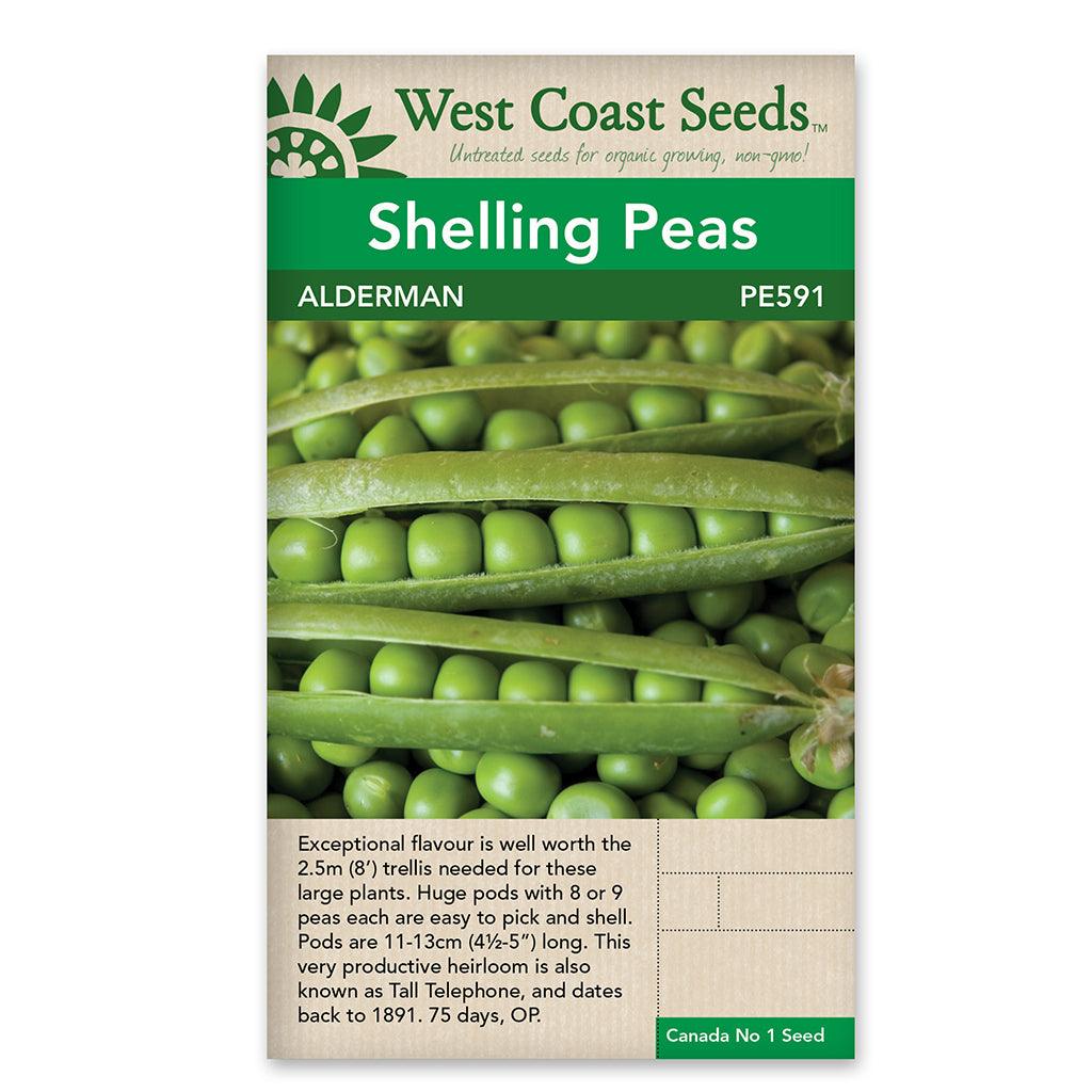 These peas mature in 70-78 days, providing you with a bountiful harvest of delicious and sweet peas. With a height of 2-2.5 meters, they require a trellis for support as they grow. While not enation-resistant, Alderman peas are still a fantastic choice for your garden, offering an abundance of flavorful and nutritious pods. Being open-pollinated seeds, they provide genetic diversity and can be saved and replanted year after year.