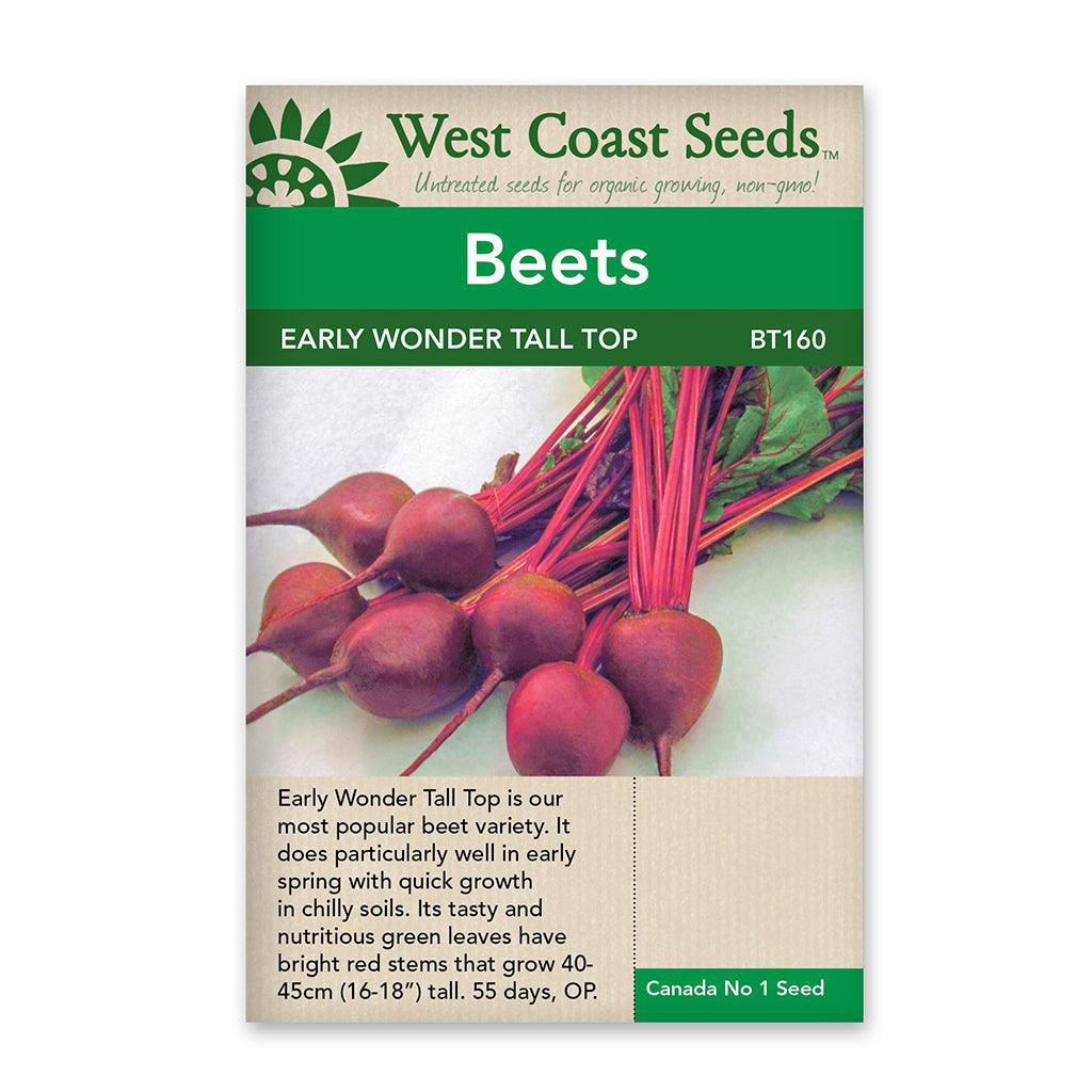 These beets mature in just 60 days, providing you with sweet and flavorful roots relatively quickly. Thriving in full sun to partial shade, they are a versatile choice for various light conditions in your garden. Early Wonder Tall Top beets are a biennial cool-season crop, known for their sweet taste and vibrant colors. Being open-pollinated seeds, they offer genetic diversity and can be saved and replanted year after year.