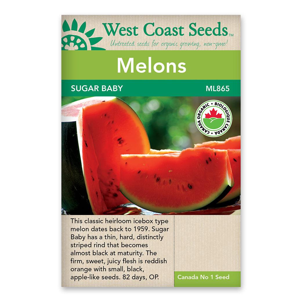 Melons Sugar Baby Certified Organic Seeds
