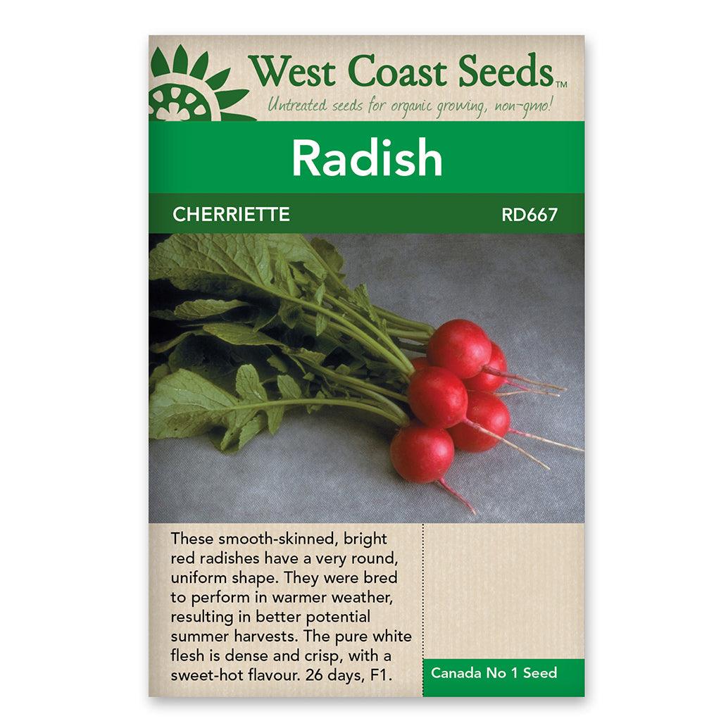 Radishes Cherriette Seeds