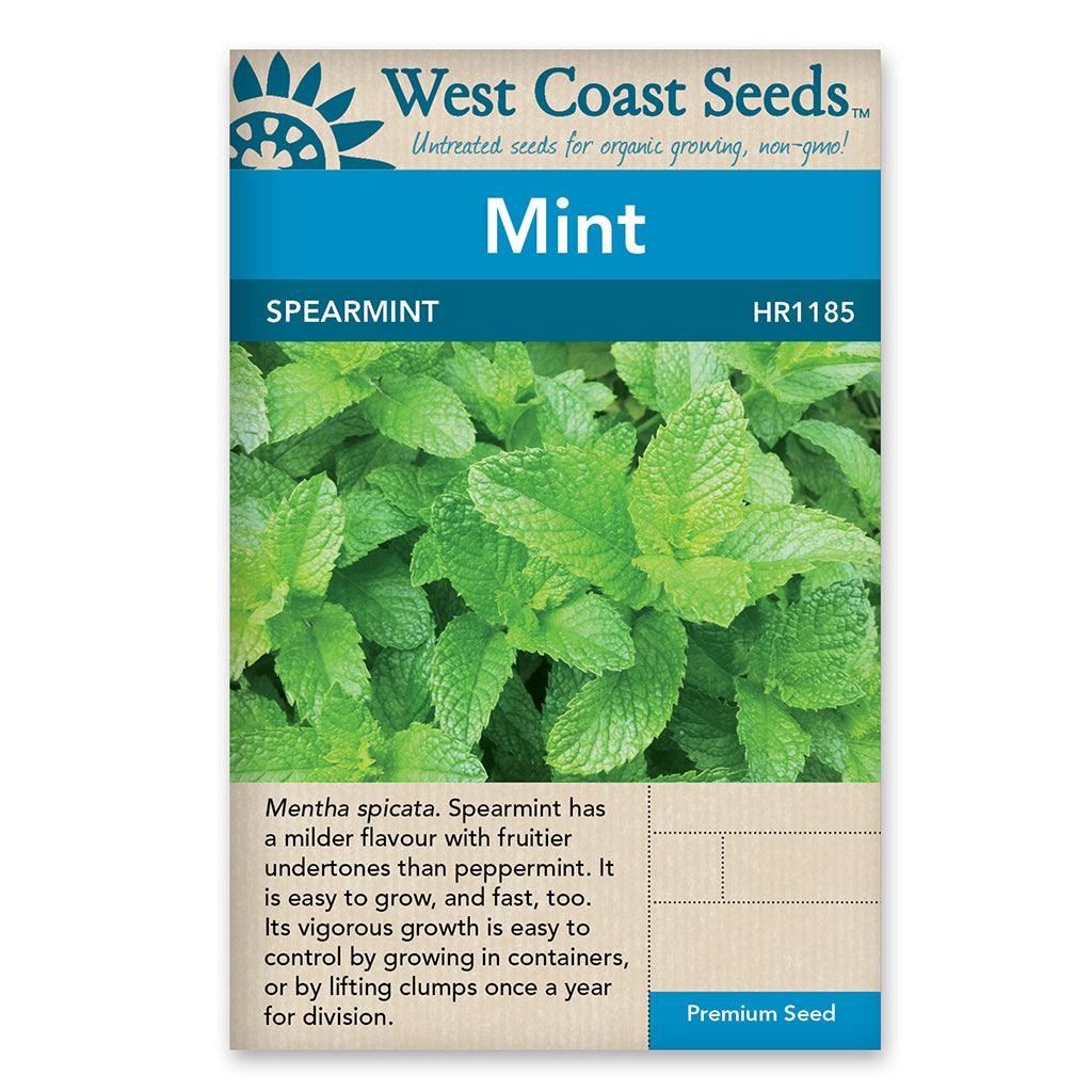 These seeds are ideal for cool seasons, thriving in full sun to partial shade. Spearmint is known for its ease of growth, making it a convenient choice for gardeners of all levels. Enjoy not only the delicious leaves but also the edible flowers this mint variety produces. It&#39;s perfectly suited for growing in containers, allowing you to enjoy its refreshing flavor even in limited garden spaces. 