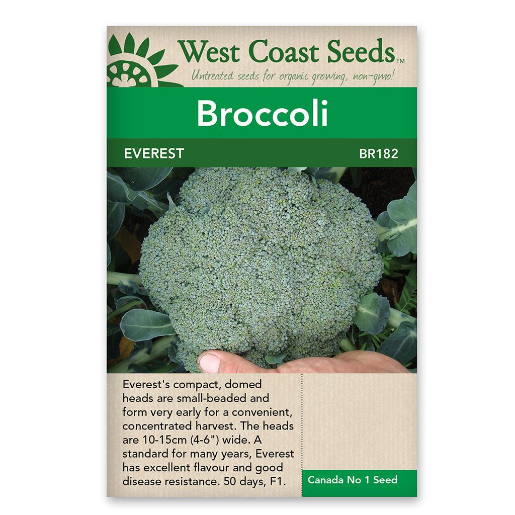 Broccoli Everest Seeds