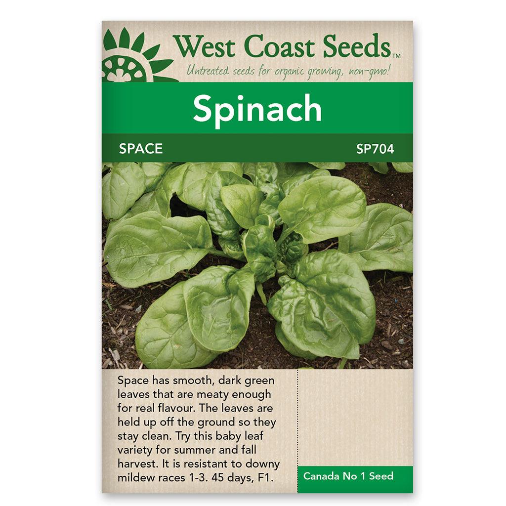 plant spinach seeds Spinach Space Seeds