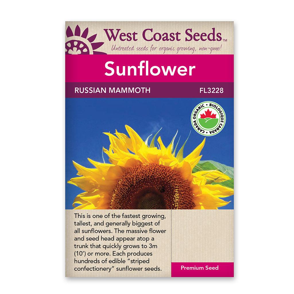 Sunflowers Russian Mammoth Cert. Organic Seeds