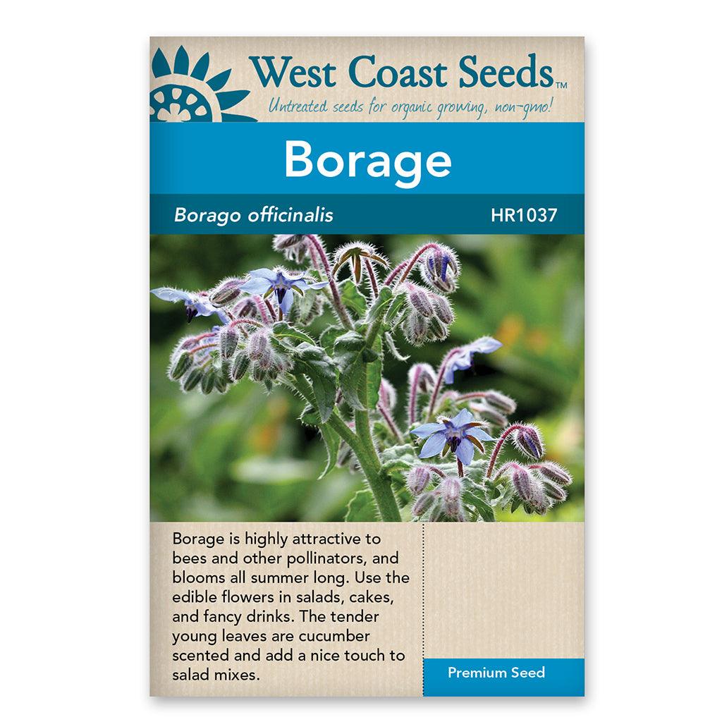 Borage Seeds offer both beauty and utility. Attract bumblebees with vivid blue flowers, then add a unique cucumber flavor to dishes and drinks with star flower petals. Benefit from the highest GLA concentration of any oil, then enhance salads, drinks and desserts with its versatile properties. Get the best of both worlds in your garden!